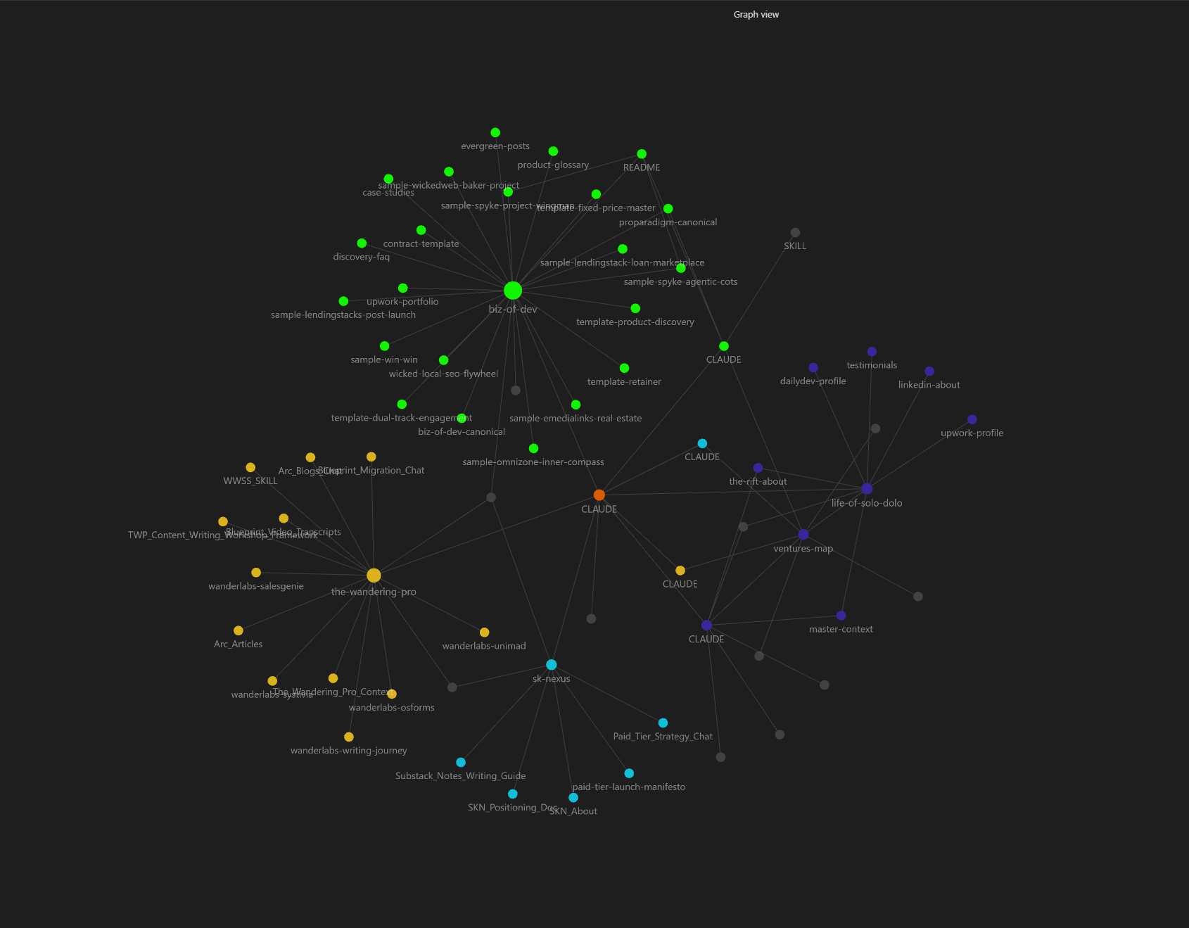 Obsidian graph view showing the vault organized into clusters by venture and life area